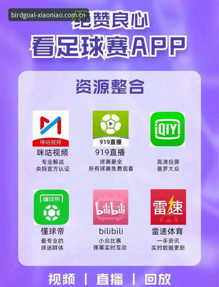 小鸟体育用户体验 vs 传统体育平台：为何创新者更倾向选择小鸟APP？