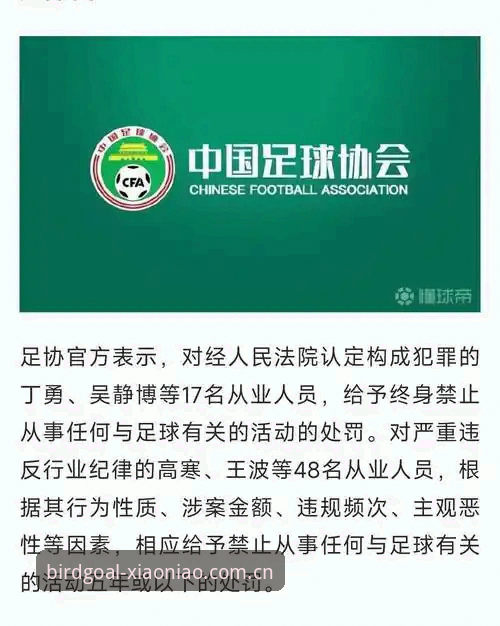 中国足球禁足名单深度解析与使用教程——小鸟体育官网带你透视行业变革