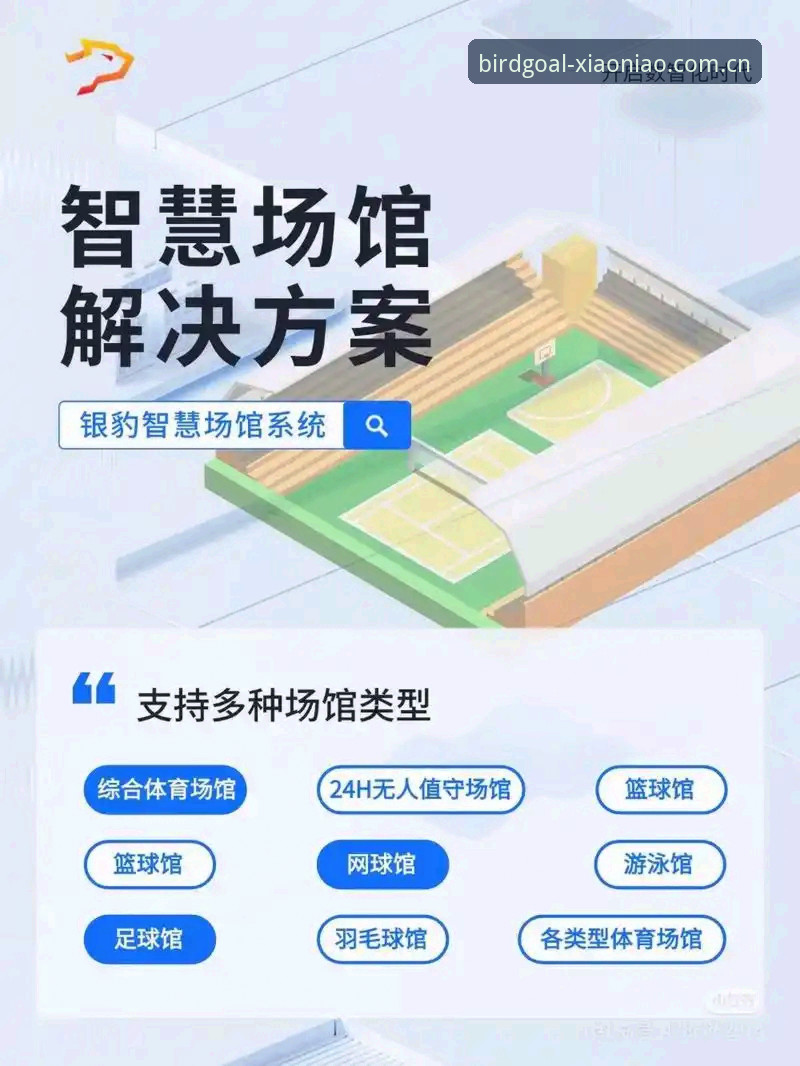 小鸟体育用户体验 vs 传统体育平台：为何创新者更倾向选择小鸟APP？